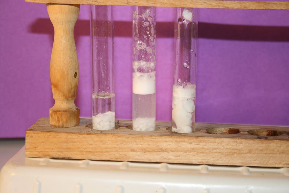 gal/LES_CINQUIEMES/ACTIVITE DIGESTION IN VITRO/Groupe_05/Groupe05_T_00h50min/Groupe05_T_00h_50min_19.JPG
